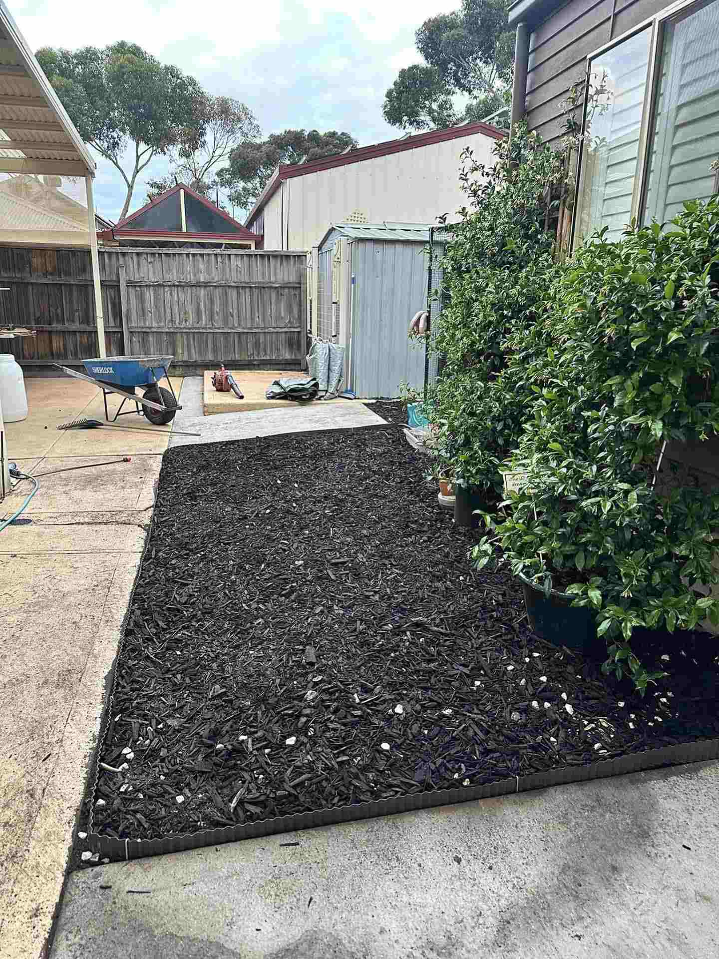 After: black mulch spread evenly in an edged garden bed beside a concrete path