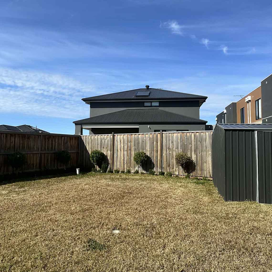 After: backyard lawn with the shrubs along the timber fence trimmed