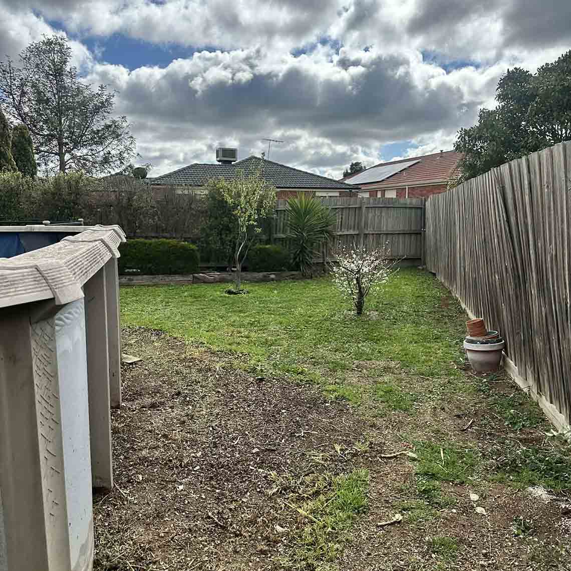 After: backyard cleared of green waste, with grass and a small tree