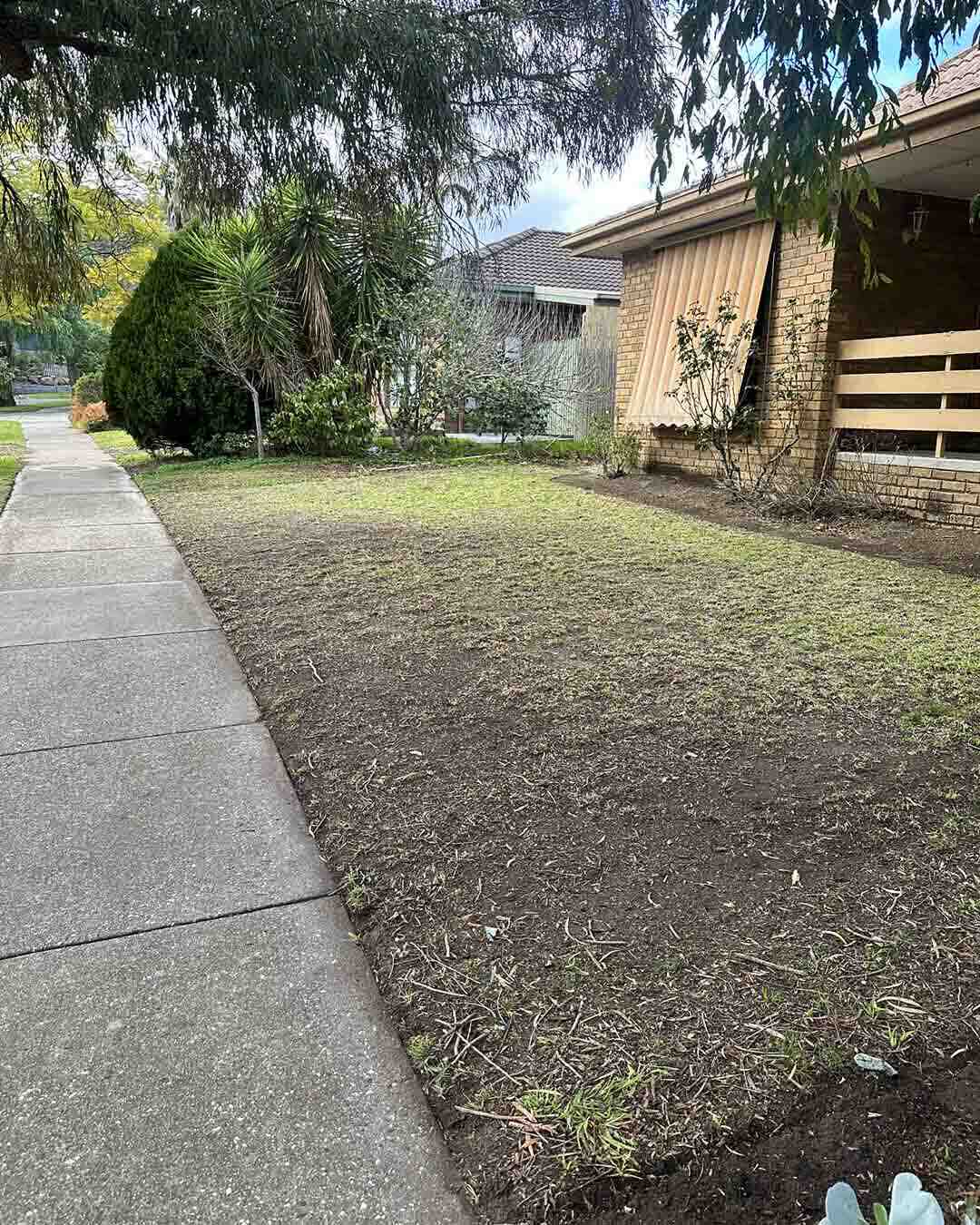 Freshly mown front lawn beside a concrete footpath and brick house